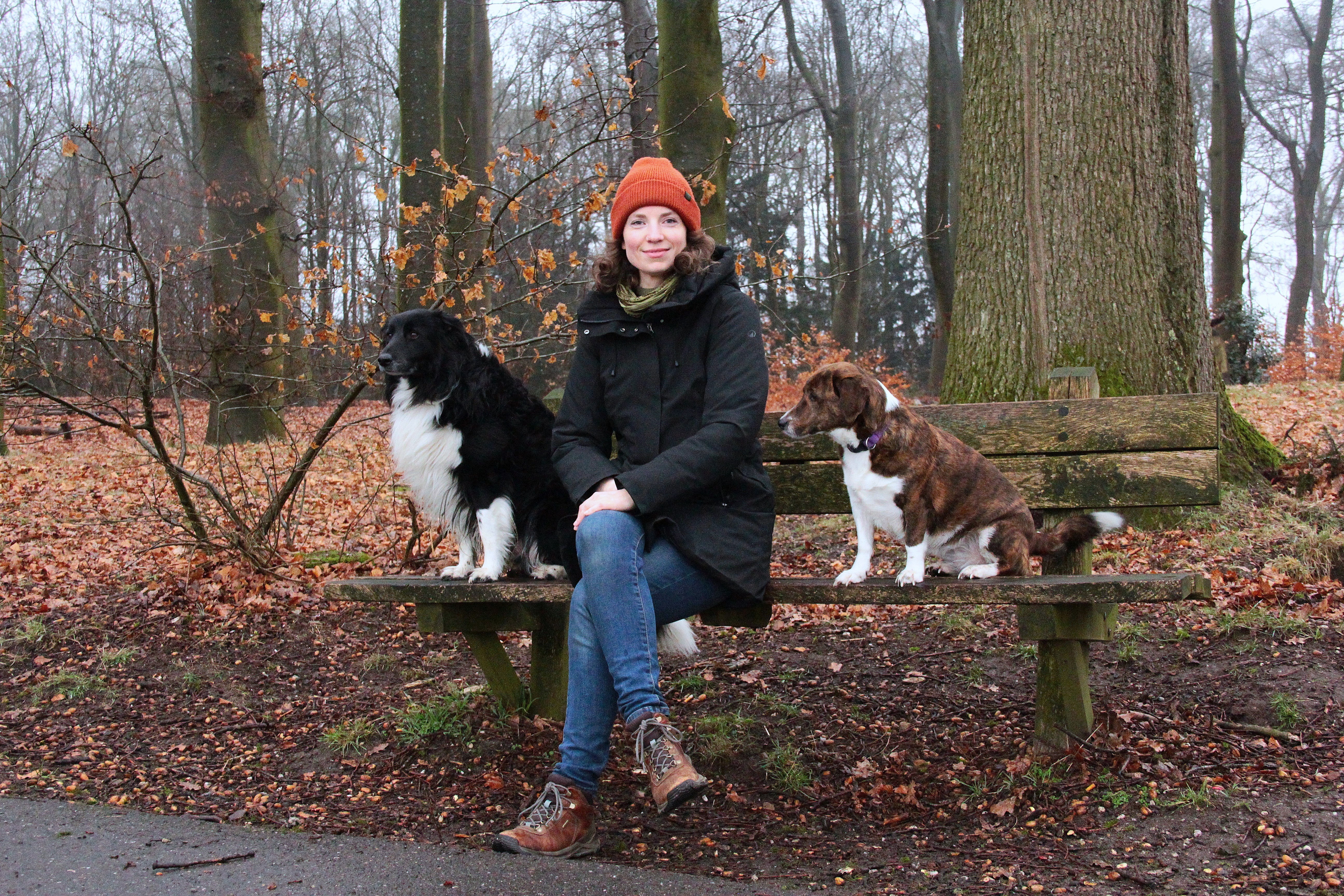Rosa met haar honden op een bank in het bos