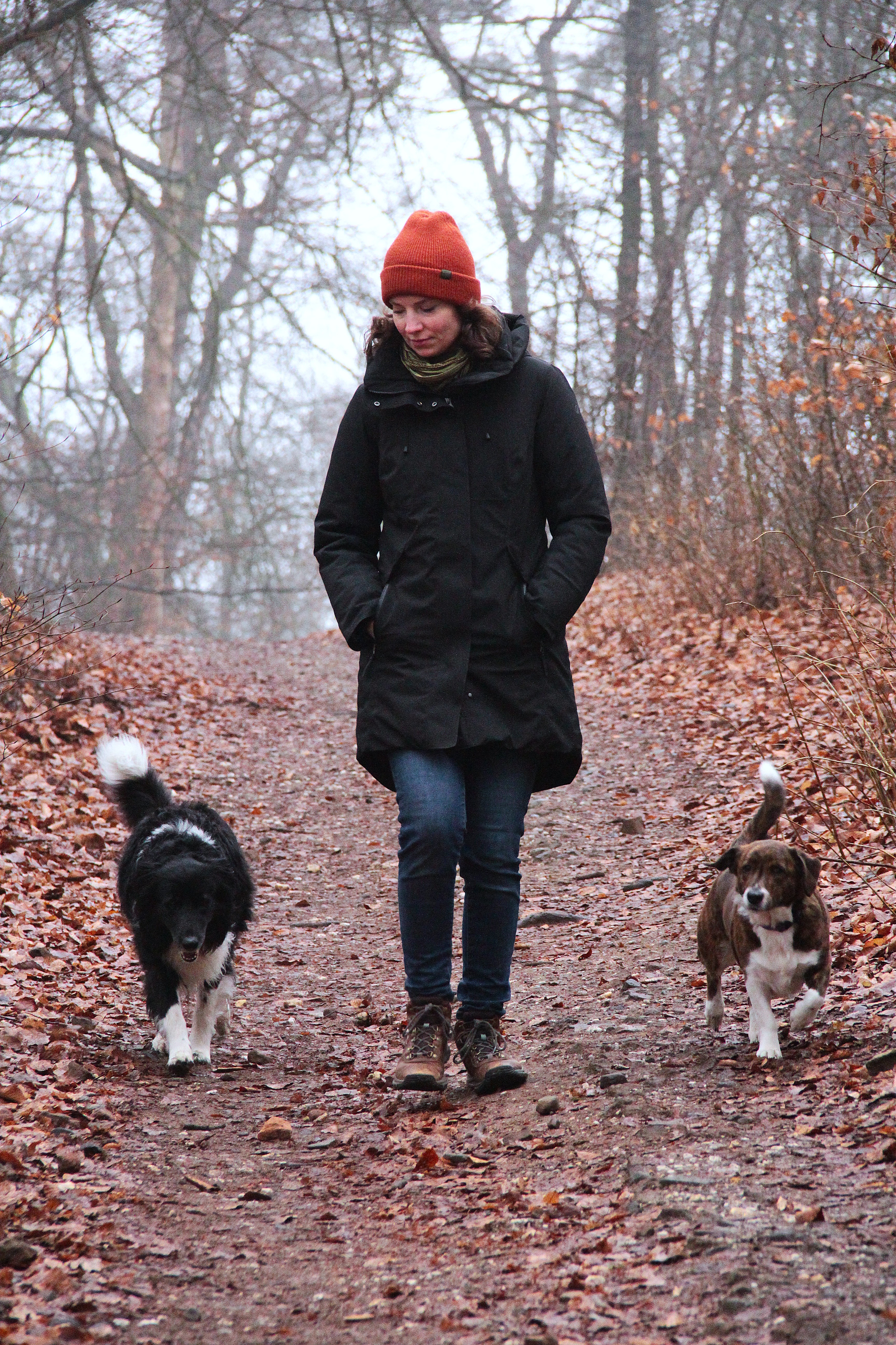 Rosa wandelt met haar honden in het bos